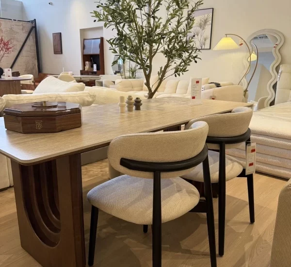 Luxury Chair For Your Dining Room in Dubai